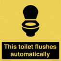 this-toilet-flushes-automatically~